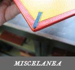 MISCELANEA